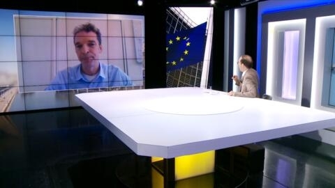 Deadlock on EU nature restoration law 'a tragedy': Bioenergy scientist Andre Faaij